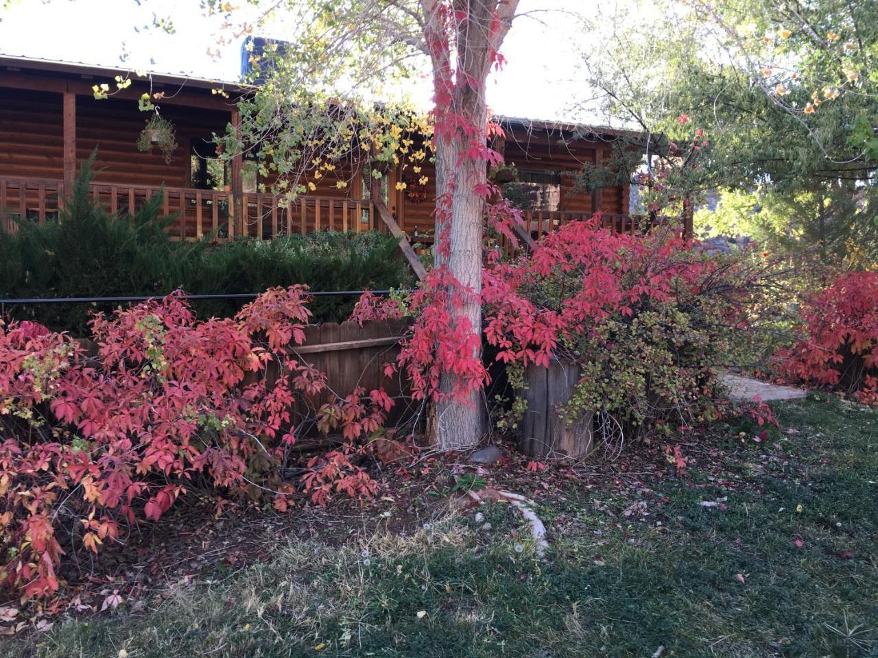 Canyon Wren Bed And Breakfast Блафф Экстерьер фото